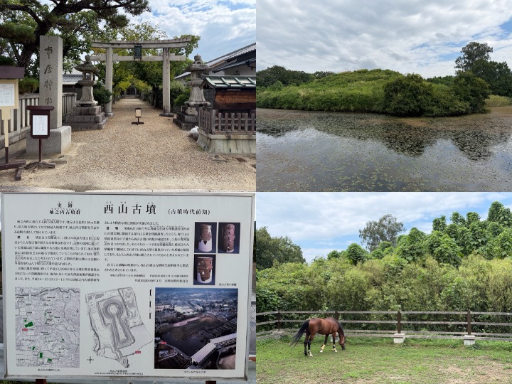 賀茂県主同族会